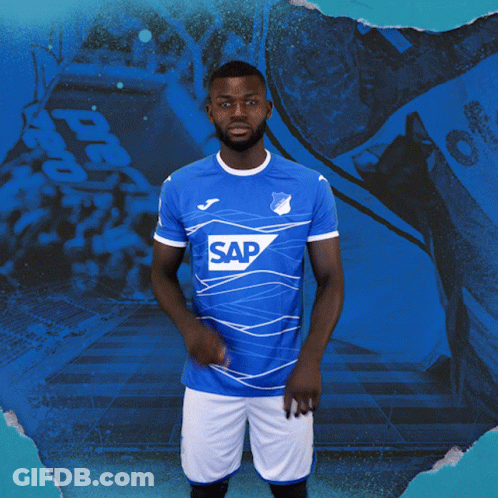 Tsg Hoffenheim Fussball GIF