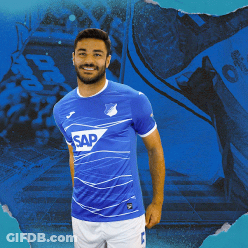 Tsg Hoffenheim Fußball GIF