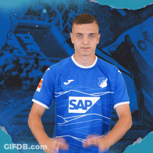 Tsg Hoffenheim Fussball GIF