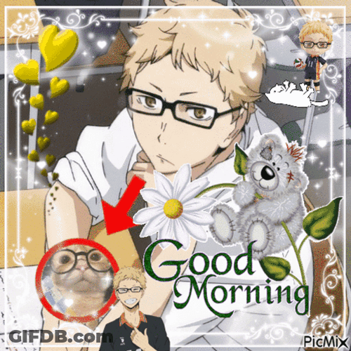Tsukishima Tsukki GIF