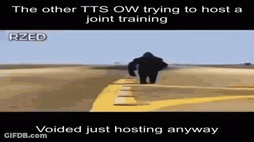 TTS Ow Trying To Host Joint Training Voided Just Hosting Anyway GIF