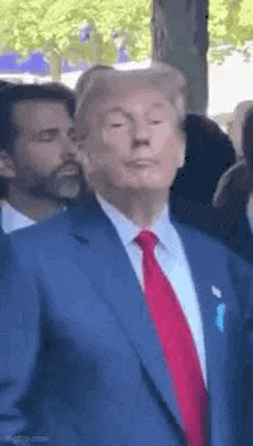 Tu GIF