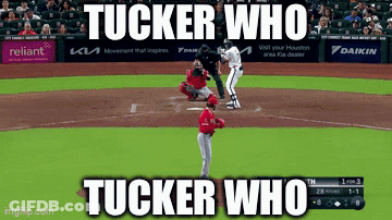 Tucker Who Tucker Who Sign Baseball Game GIF
