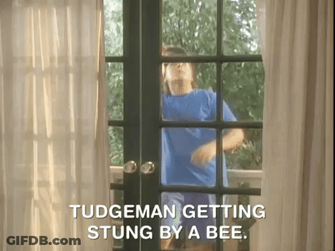 Tudgeman Not The Bees GIF