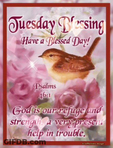 Tuesday Blessing Card With Bird And Roses GIF