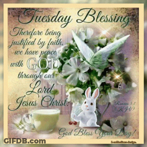 Tuesday Blessing With Flowers And Rabbit GIF
