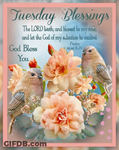 Tuesday Blessings Card With Birds And Flowers GIF