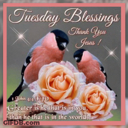 Tuesday Blessings Card With Birds And Roses GIF