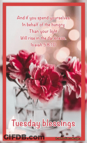 Tuesday Blessings Card With Flowers GIF