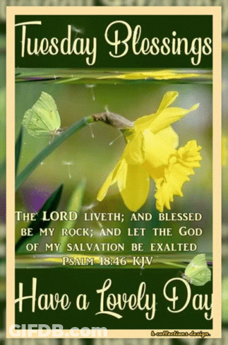 Tuesday Blessings Card With Yellow Flower GIF