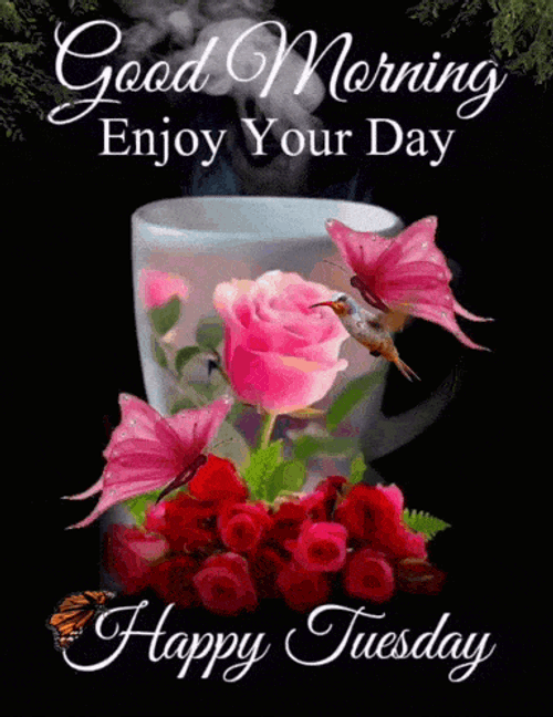Tuesday Blessings Good Morning Tuesday GIF
