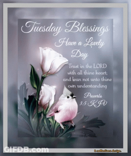Tuesday Blessings Have A Lovely Day Card GIF