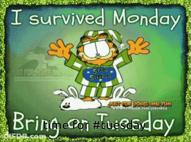 Tuesday Garfield GIF