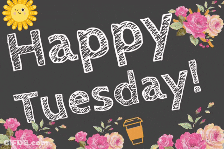 Tuesday GIF