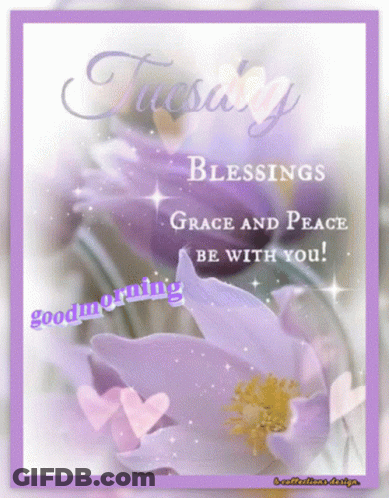 Tuesday Greeting Card Purple Flowers Blessings Grace And Peace Be With You GIF