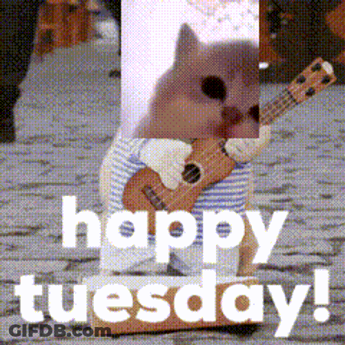 Tuesday Jamcat GIF