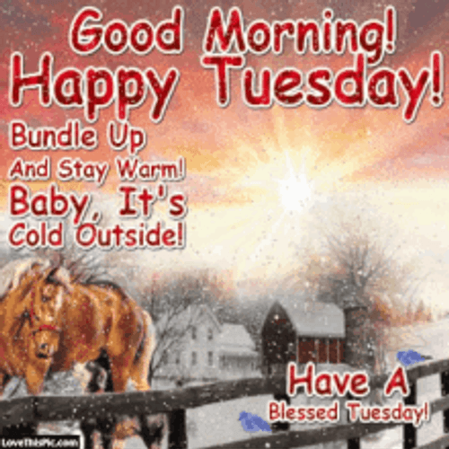 Tuesday Morning Stay Warm Christmas Greetings GIF