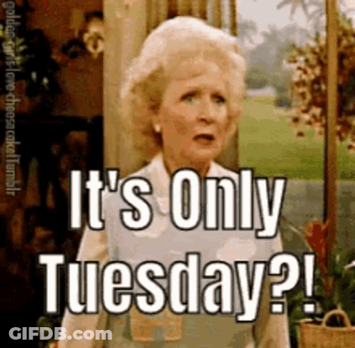 Tuesday Taco GIF