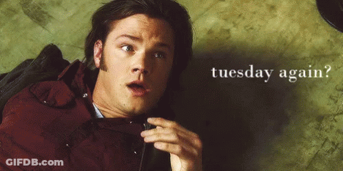 Tuesday Tuesday Again GIF