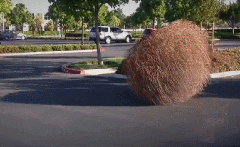Tumbleweed City Park GIF