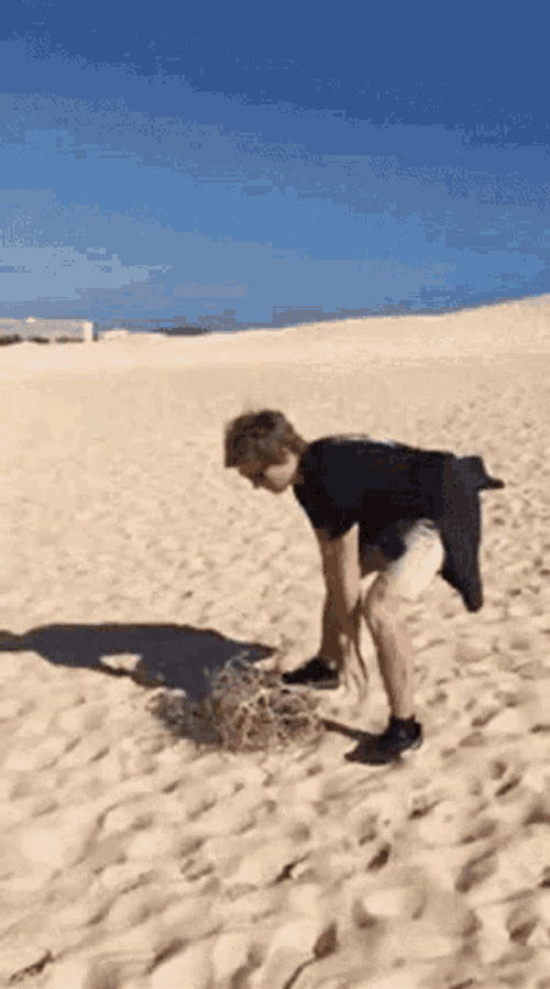 Tumbleweed Crickets GIF