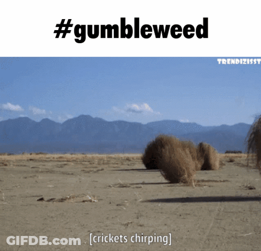 Tumbleweed Crickets Meme GIF