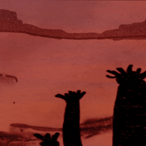 Tumbleweed Doodle GIF