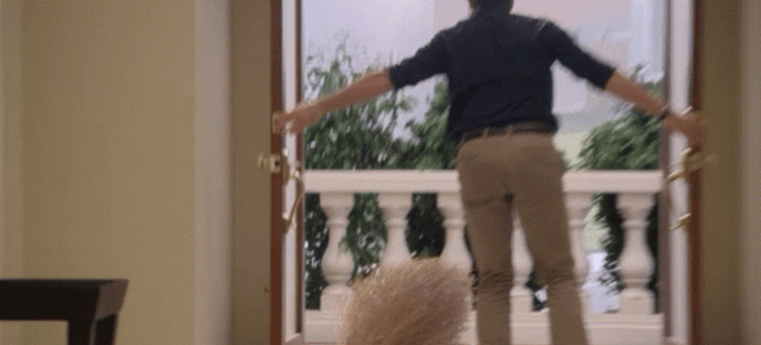 Tumbleweed House Entry GIF