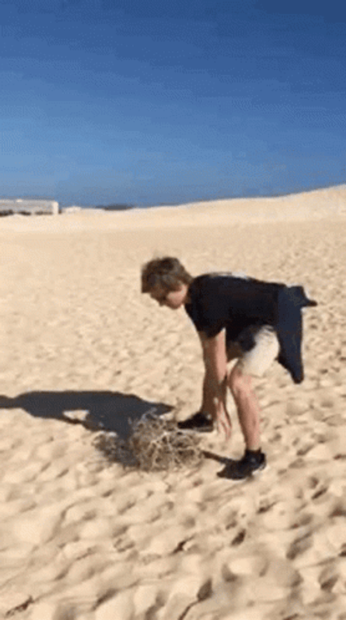 Tumbleweed Rolling Guy GIF