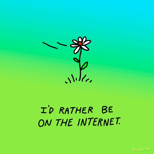 Tumblr Flower Rather Be On Internet GIF