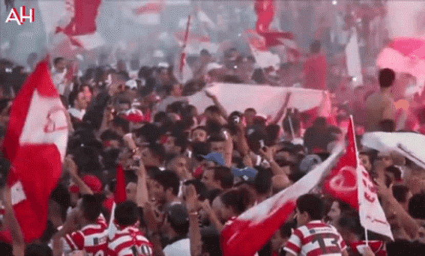 Tunisia Finals Championship Sport GIF