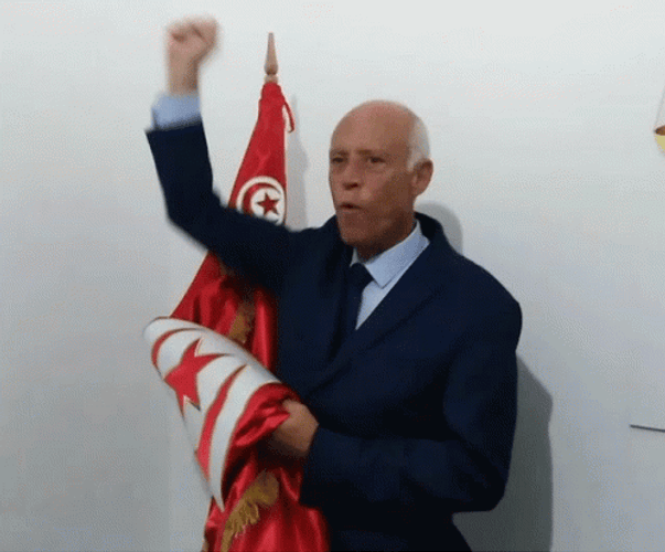 Tunisia President Kaïs Saïed GIF