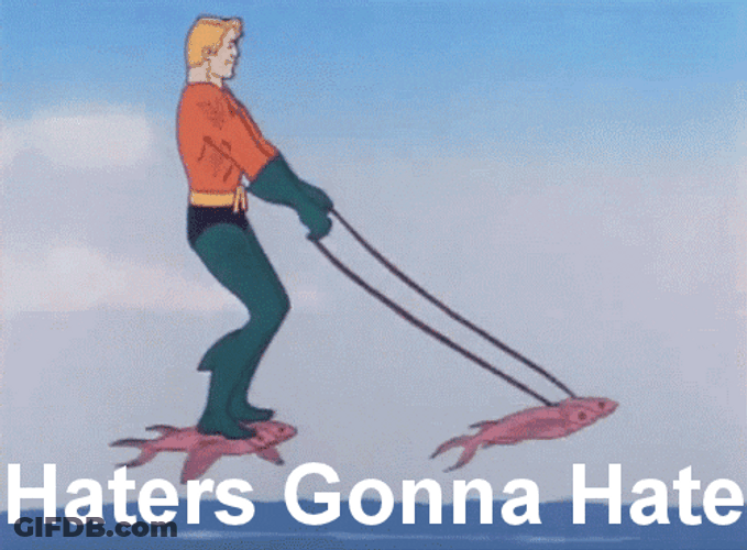 Turbulence Meme Air Haters Gonna Hate GIF