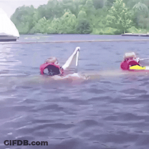 Turbulence Meme Sinking In The Water GIF