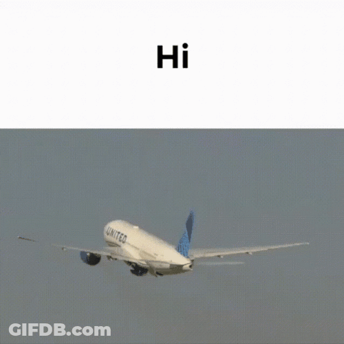 Turbulence Plane Landing GIF