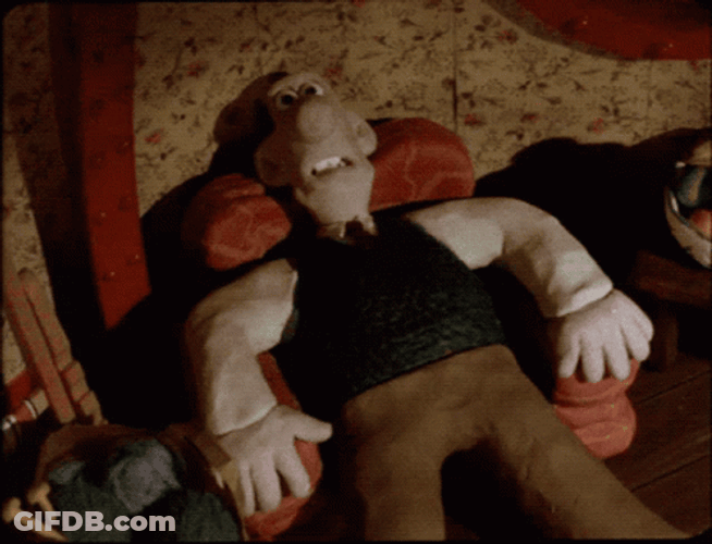 Turbulence Wallace Gromit GIF