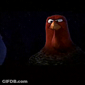 Turkey And Chicken Standing Next To Each Other Saying To The First Thanksgiving GIF