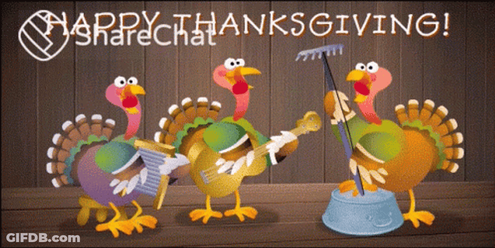 Turkey Band Animated Thanksgiving GIF