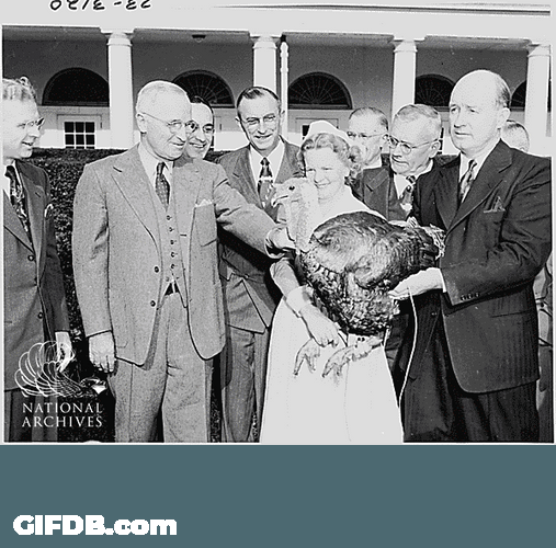 Turkey Celebration Gobble GIF
