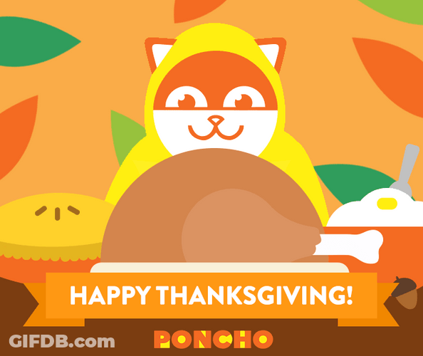 Turkey Day Animated Happy Cat GIF