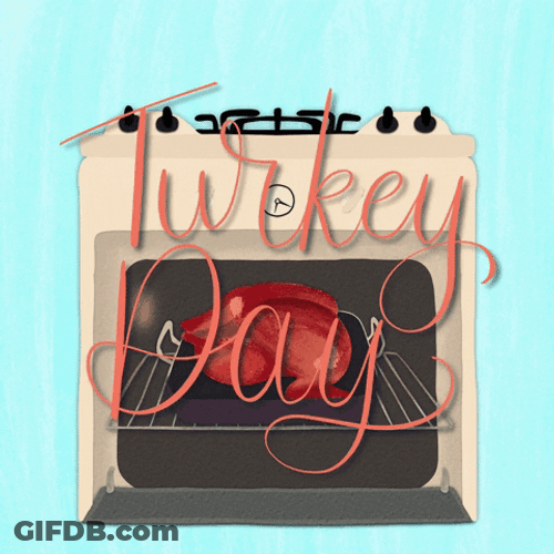 Turkey Day Bird Being Cooked In Oven GIF