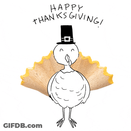 Turkey Day Cartoon Bird GIF