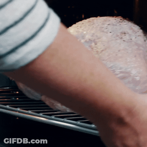Turkey Day Cooking Bird In Oven GIF