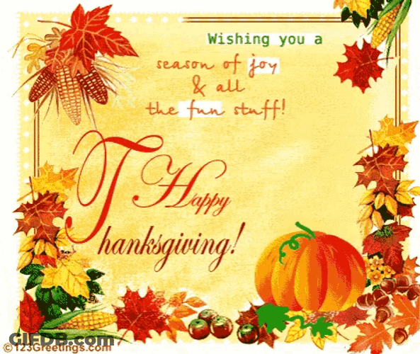 Turkey Happy Thanksgiving GIF