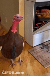 Turkey In Front Of Stove With Hot Wife Doormat GIF