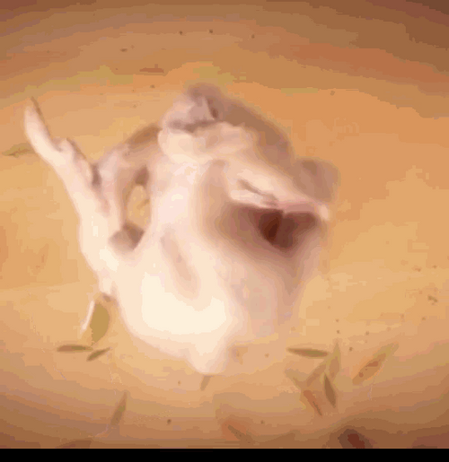 Turkey Meat Twerking GIF