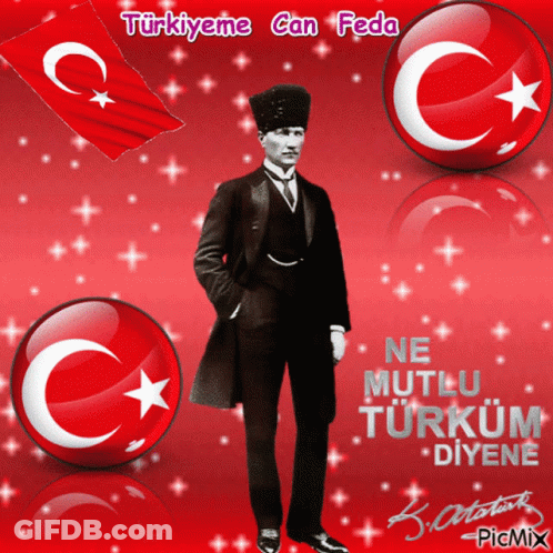 Turkey Meme Can Feda GIF