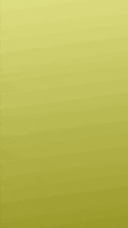 Turkey Thanksgiving GIF