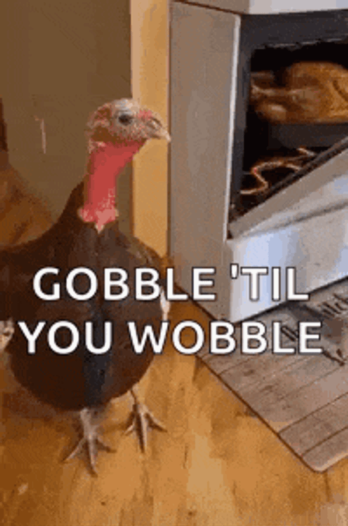 Turkey Thanksgiving GIF