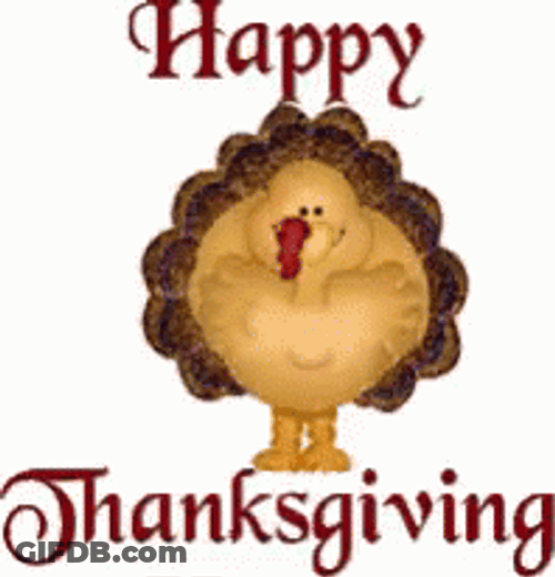 Turkey Tradition Happy Turkey Day GIF